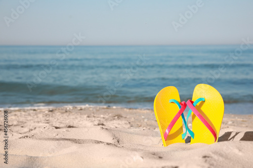 Stylish flip flops in sand on beach. Space for text