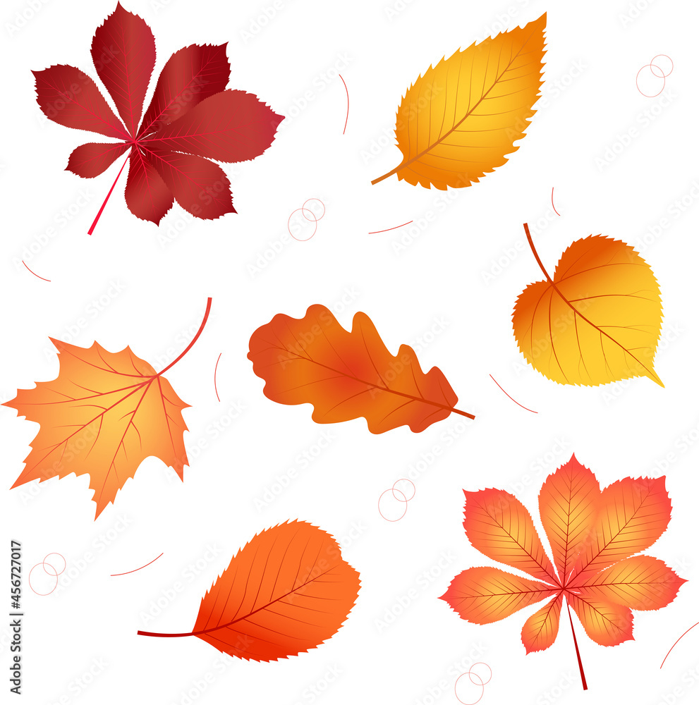Obraz premium Autumn different leaves set. Bright fall colors. Vector illustration/