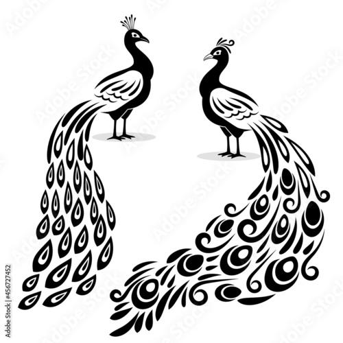 Monochrome peacock. Hand drawn peecoock isolated black silhouette on white page, book stylized pavonine animal bird vector illustration, peafowl art design photo