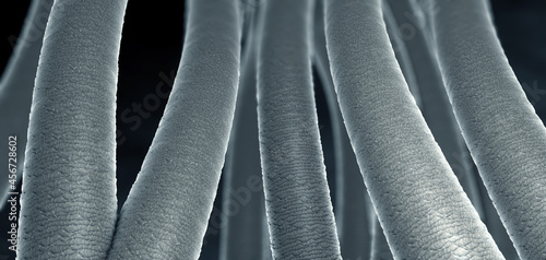 Closeup on the surface of hair - 3d illustration
