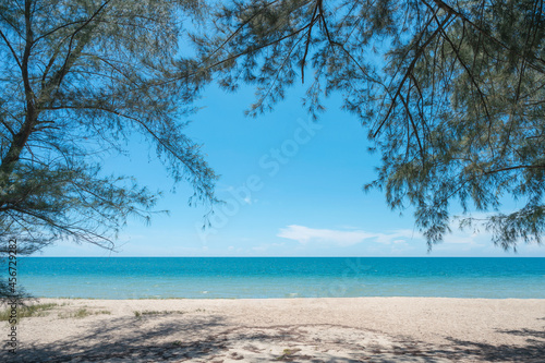 Tropical sea with shady tree branch on the beach © Mumemories