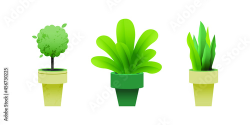 Set of Growing Plant in Pot. Modern Flat Vector Illustration. Gardening Concept. Social Media Template.