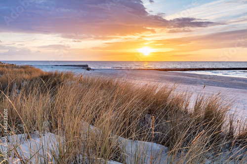 Beach grass on dune  Baltic sea at sunset
