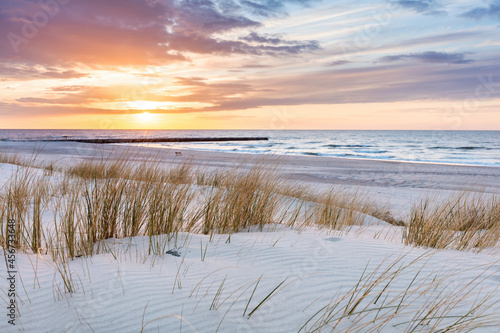 Fototapeta Naklejka Na Ścianę i Meble -  Beach grass on dune, Baltic sea at sunset