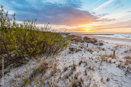 Fototapeta Naklejka Na Ścianę i Meble -  Beach grass on dune, Baltic sea at sunset