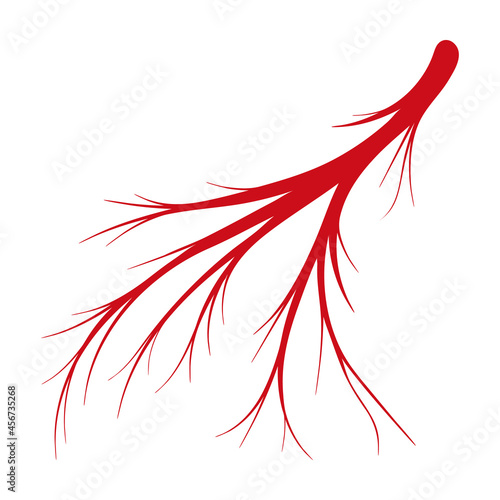 Vein of human vector cartoon icon. Vector illustration artery of blood on white background. Isolated cartoon illustration icon of vein of human .
