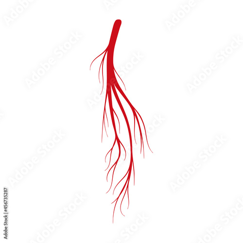 Vein of human vector cartoon icon. Vector illustration artery of blood on white background. Isolated cartoon illustration icon of vein of human .