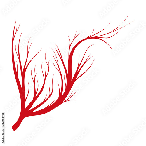 Vein of human vector cartoon icon. Vector illustration artery of blood on white background. Isolated cartoon illustration icon of vein of human .