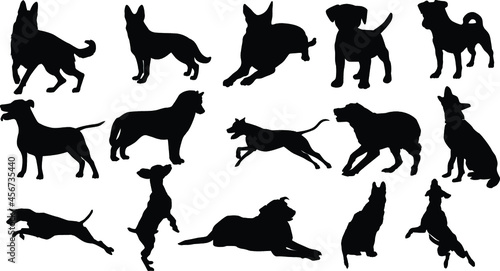 Dog silhouette Set 06 walking and standing . Shepherd, beagle, great dane, dachshund, poodle, pit bull. . Vector black flat icon isolated on white background.