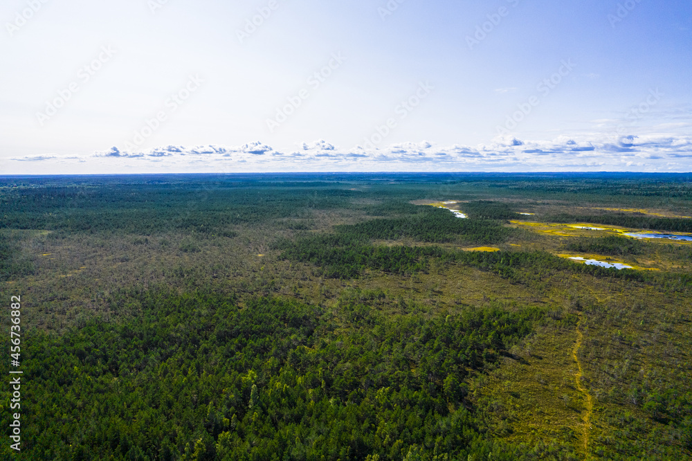 Aerial view from drone on bogs, gallant pine and birch forests in different colors such as light, dark green, emerald, yellow and deep blue lakes on a sunny day