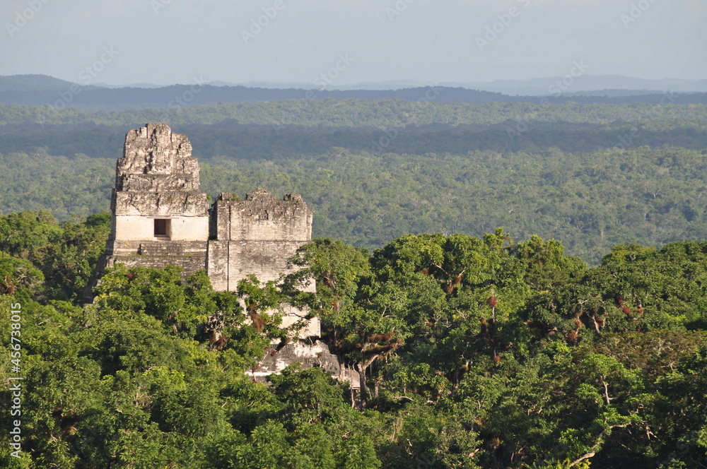 A temple in Tikal National Park, Guatemala