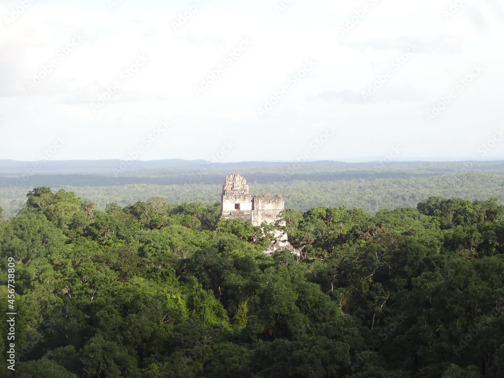 The ruins of the ancient city of Tikal, Guatemala
