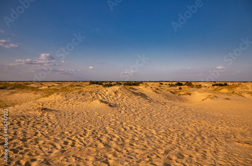 Beautiful desert landscape with dunes. Walk on a sunny day on the Oleshkiv sands.