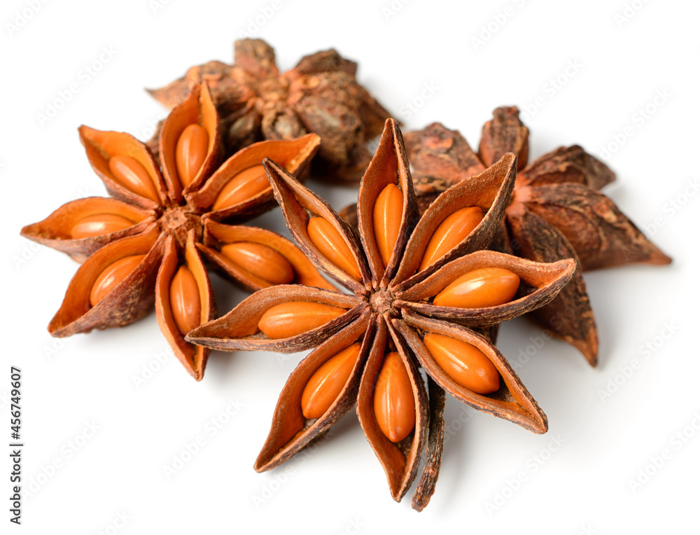 star anise fruits isolated on the white background star anise fruits isolated on the white background