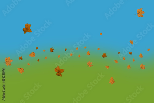 The concept of autumn. Dry leaves on a background of blue and green. 