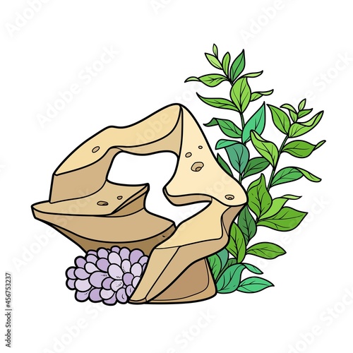 Big algae and anemones on sandstone  color variation for coloring page isolated on white background