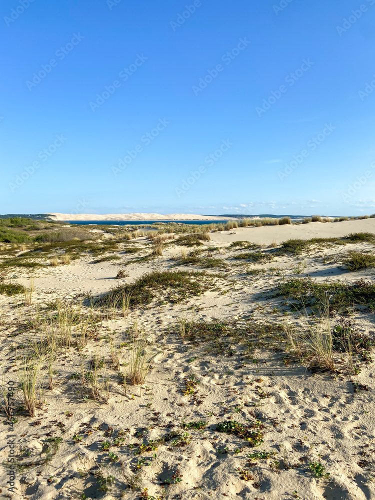 Dune du Pilat vue depuis le Cap Ferret, Gironde