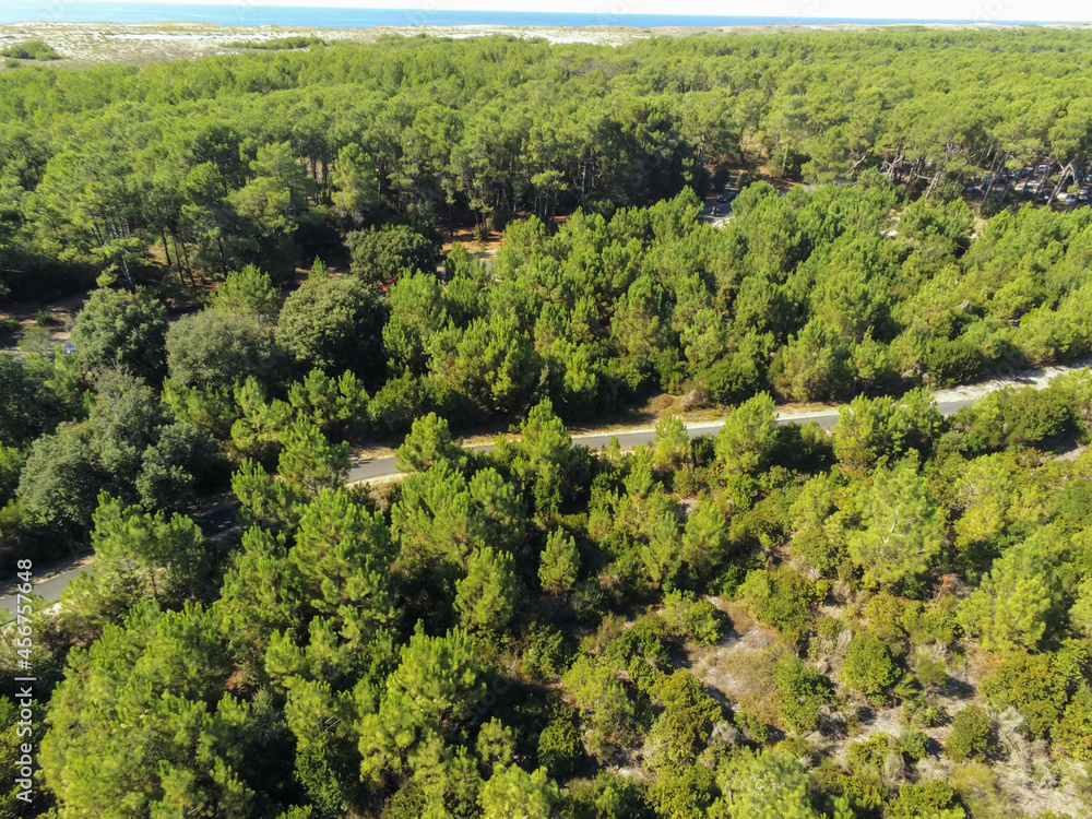 Piste cyclable au milieu d'une forêt de pins au Cap Ferret, Gironde Piste cyclable au milieu d'une forêt de pins au Cap Ferret, Gironde