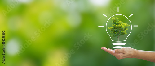 Hand holding big tree and light bulb on blurred green background with campaign to save energy and plant a tree. It is a concept that shows clean energy saving to save the environment for the world.