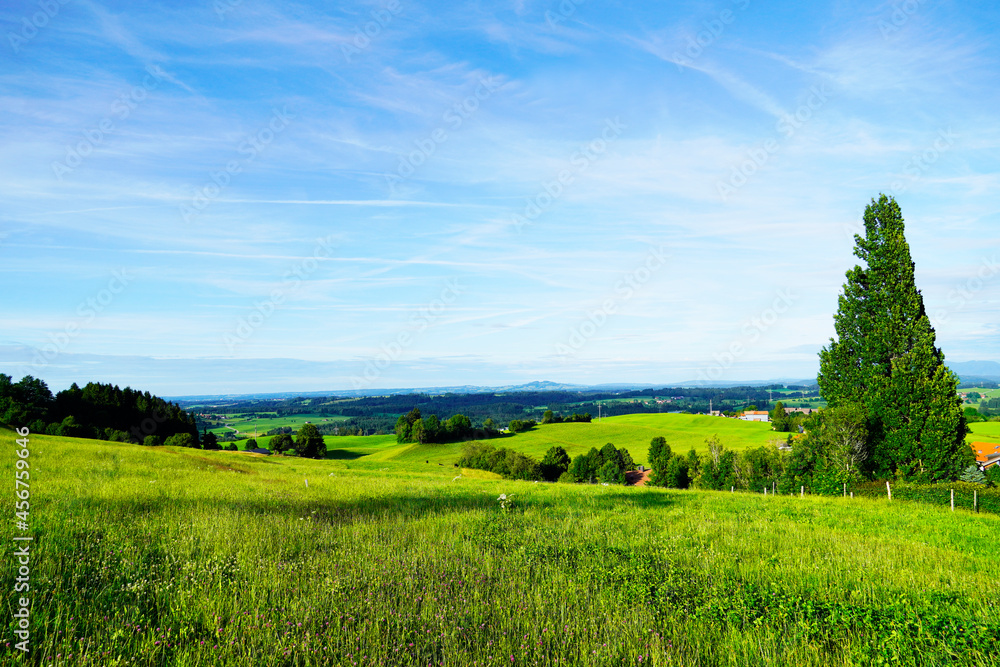 Panorama landscape in the Allgäu in Bavaria. Nature with mountains, meadows and forests. Panorama landscape in the Allgäu in Bavaria. Nature with mountains, meadows and forests.