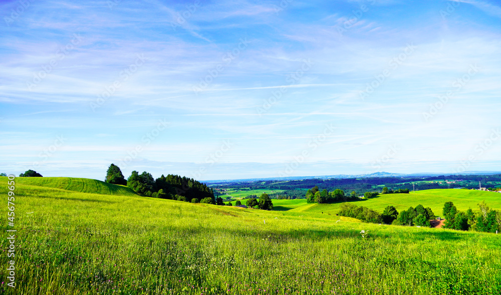 Panorama landscape in the Allgäu in Bavaria. Nature with mountains, meadows and forests. Panorama landscape in the Allgäu in Bavaria. Nature with mountains, meadows and forests.