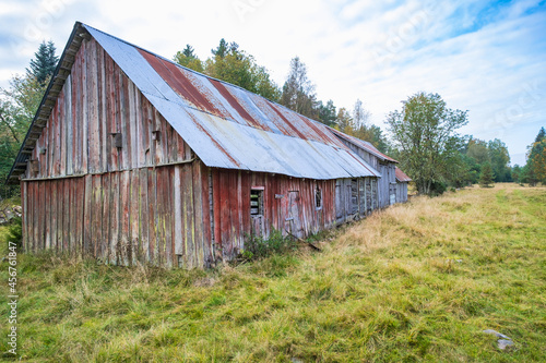 Wallpaper Mural Old abandoned barn on a meadow Torontodigital.ca