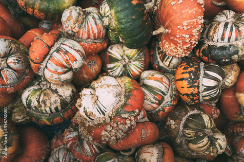 Mountains of pumpkins at an autumn farmer s market