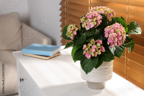 Beautiful pink hortensia flowers in vase on white table indoors. Space for text