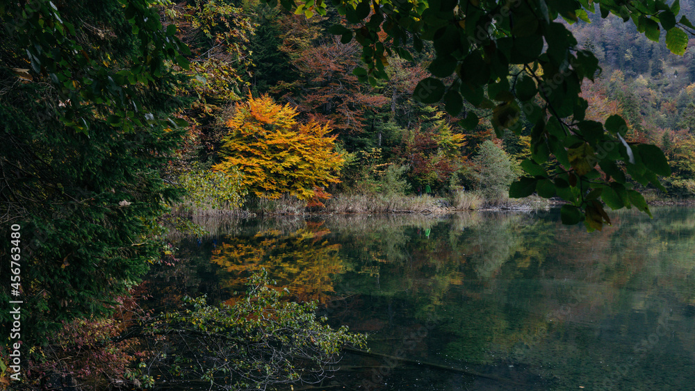 Reflection of trees with autumn leaves on the lake
