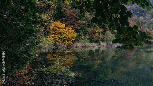 Fototapeta Naklejka Na Ścianę i Meble -  Reflection of trees with autumn leaves on the lake
