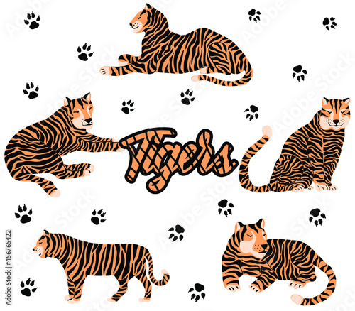 Set of cute tigers. Hand-drawn animals. Trendy vector illustration. 
