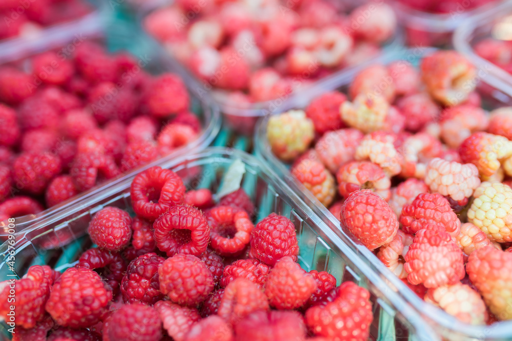 Seasonal ripe raspberries in plastic containers Seasonal ripe raspberries in plastic containers