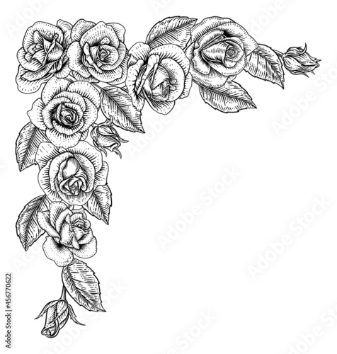 Rose Flower Border Woodcut ...