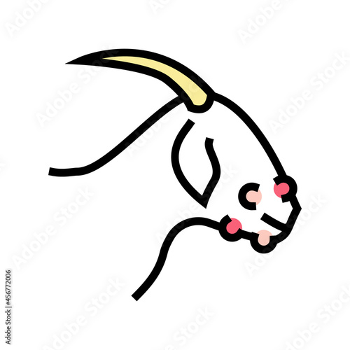 orf virus color icon vector. orf virus sign. isolated symbol illustration