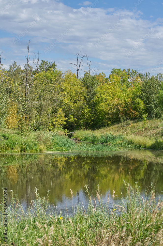 Obraz premium Pylypow Wetlands on a Late Summer Day