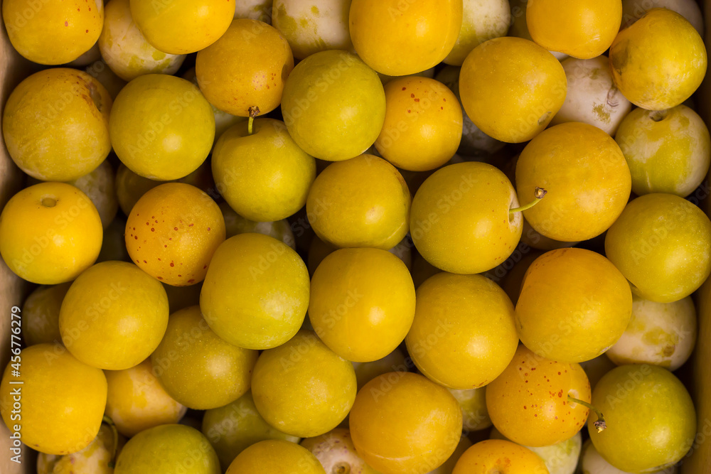Ripe yellow plums with leaves. Harvest fruit from the garden in a box.