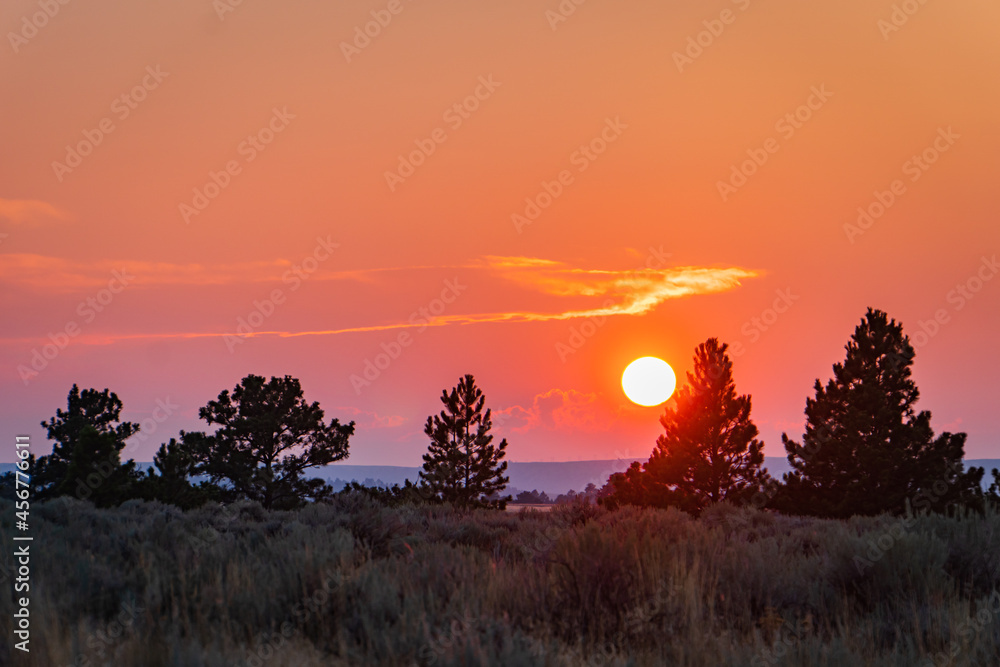 sun setting on the Montana high plateaus with sage in the foreground
sun setting on the Montana high plateaus with sage in the foreground
