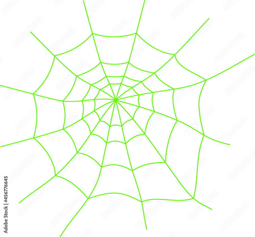 Obraz premium green spider web. vector illustration