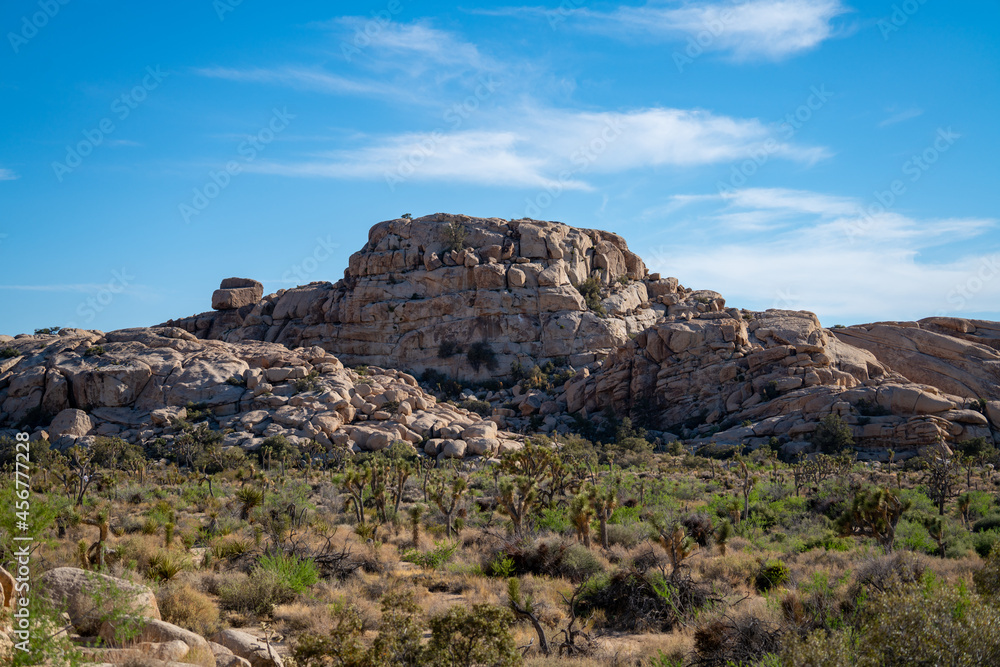Fototapeta premium Large rock formations in Joshua Tree National Park