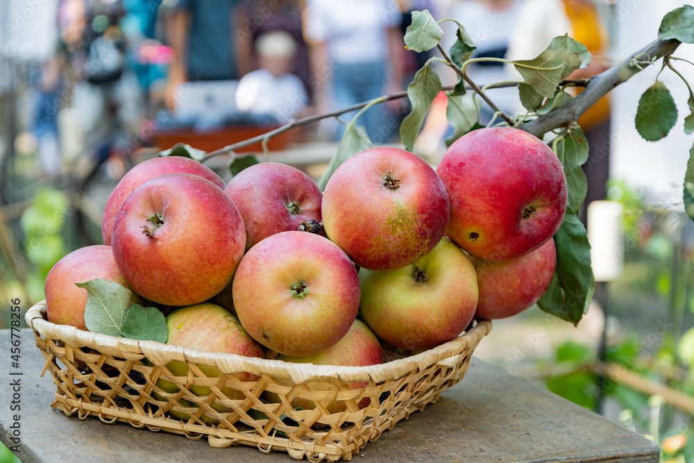 apples in a basket apples in a basket
