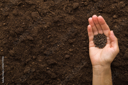 Quadro su tela Young adult woman hand pouring black granules of chicken manure on dark brown soil