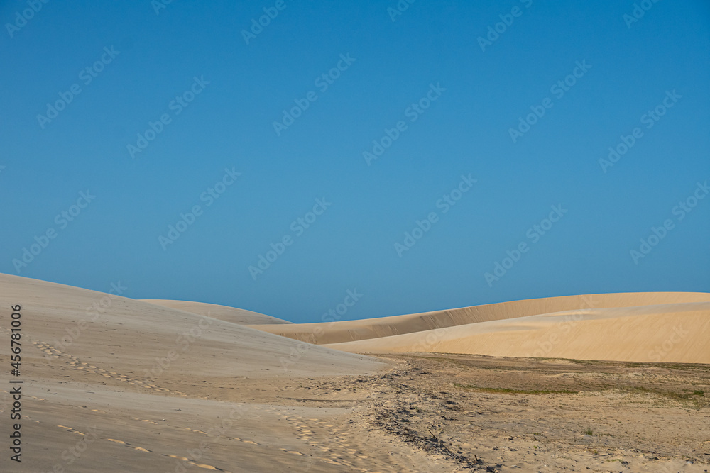 Fototapeta premium Dunas do Morro do Meio no Delta do Parnaíba. Ilha das Canárias, Maranhão, Brasil. Agosto de 2021
