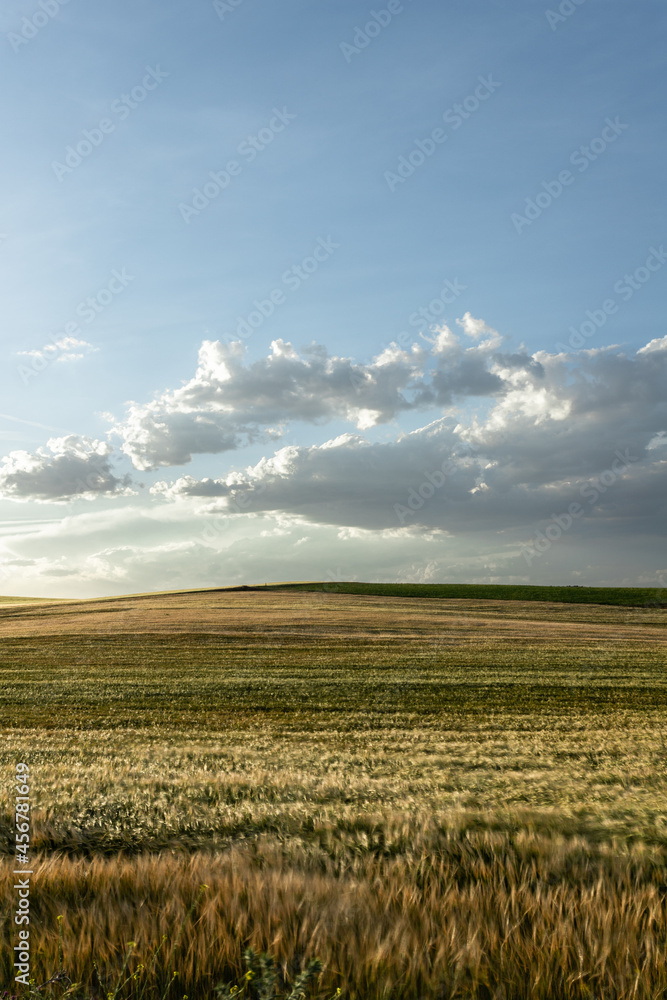 Autumn field under cumulus clouds in sunlight Autumn field under cumulus clouds in sunlight