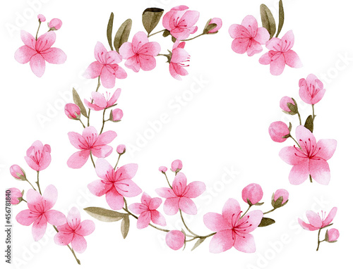 watercolor drawing set with sakura flowers. pink flowers sakura, cherry, apple tree isolated on white background. elements and wreath