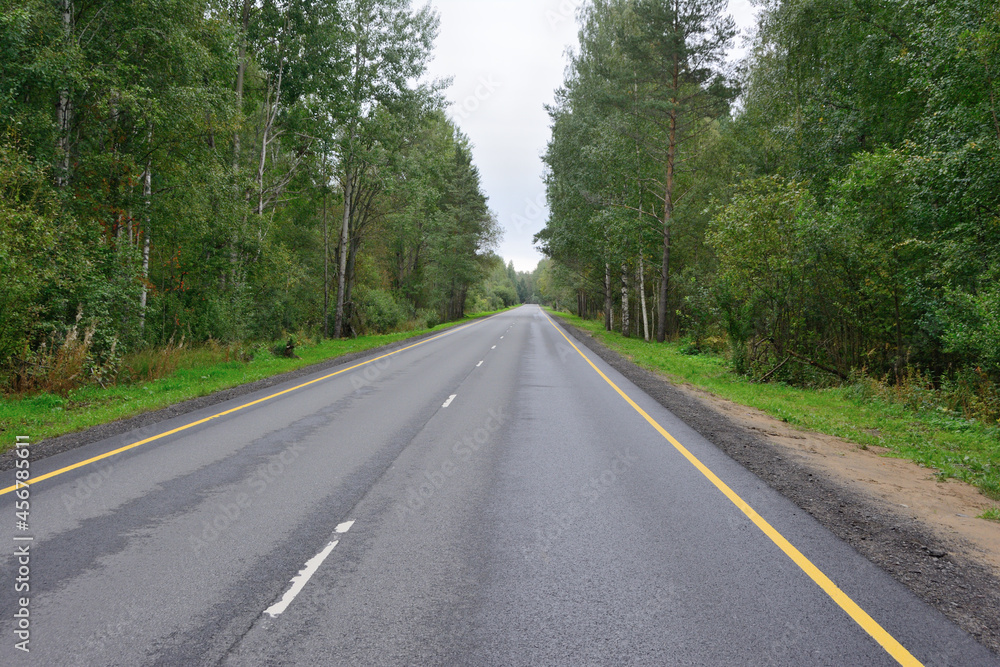 A straight asphalt road with markings, going into the distance and a forest to the side