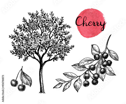 Cherry ink sketch set.