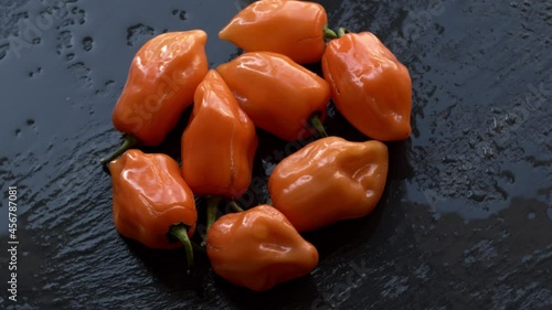 Hot orange habanero chili heap on wet black slate. Spicy peppers in water rotating. photo