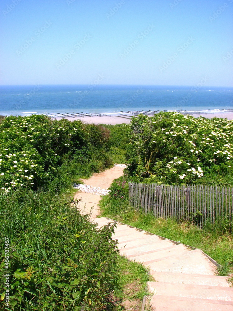path to the sea