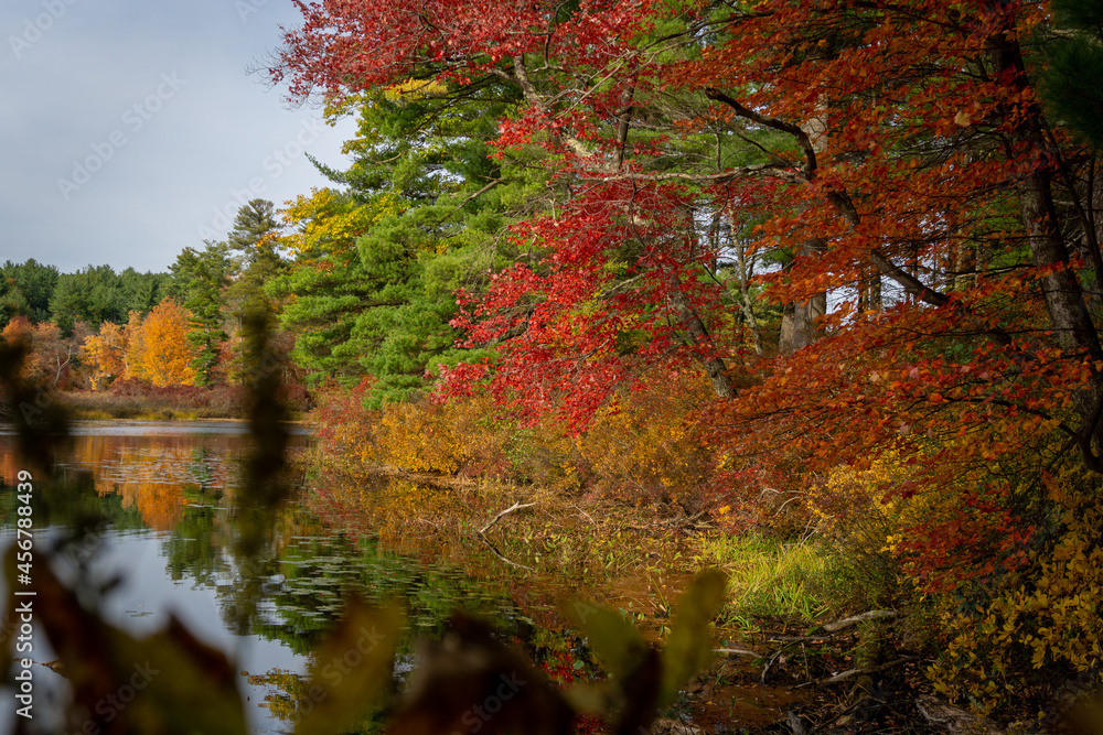Vibrant fall foliage on trees near calm lake with reflections 