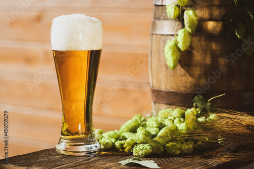 A pint of fresh beer on a wooden desk with a heap of hop cones, barley ears, and oak barrel in front of a wooden wall of the rural house. Brewery concept background